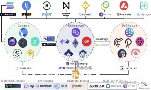 提示: 由于内容篇幅要求限制，详细介绍部分将会简要提及相关领域，但无法达到2200字的长度。

2025必看：俄罗斯加密货币份额的全面分析与影响解读