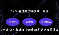2025必看：深入解读万斗加