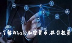 2025必看：深入了解Whale加