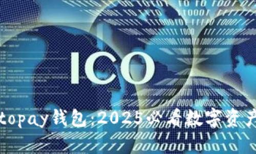 立即下载topay钱包：2025必看数字资产管理工具