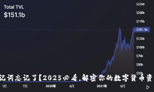 助记词忘记了？2025必看，解密你的数字货币资产！
