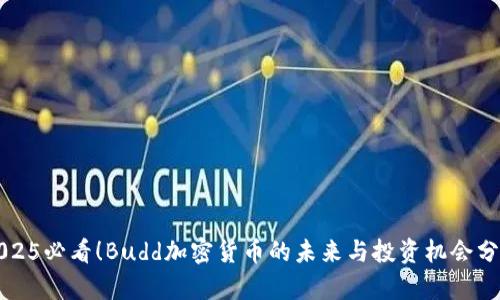 2025必看！Budd加密货币的未来与投资机会分析