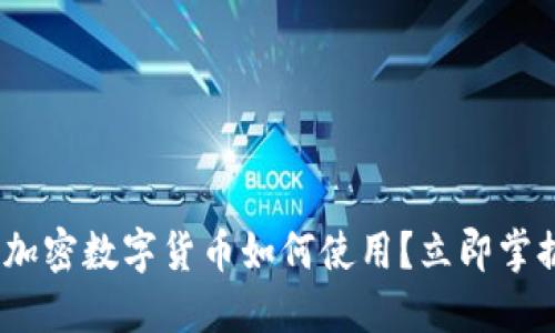 2025必看：加密数字货币如何使用？立即掌握实用技巧！