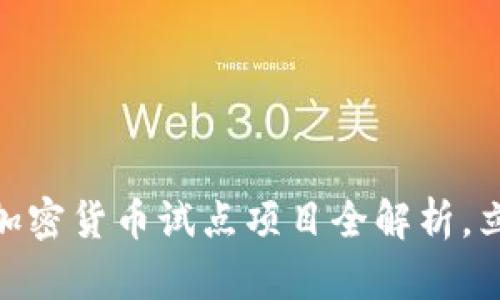 2025必看：区块链加密货币试点项目全解析，立即掌握行业新动向