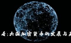 2025必看：大国加密货币的发展与未来趋势