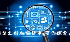 2025必看：马绍尔支持加密