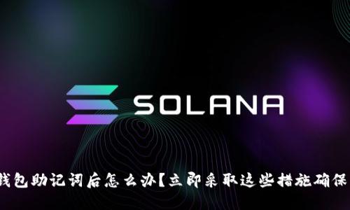 丢失Pi币钱包助记词后怎么办？立即采取这些措施确保资产安全！
