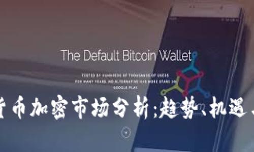 全球货币加密市场分析：趋势、机遇与挑战