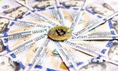 美国加密货币市场涨停，背后的原因与未来展望