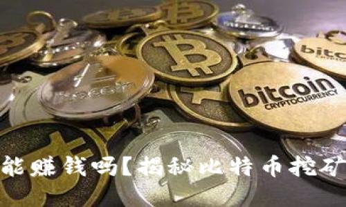 : 中本聪挖矿能赚钱吗？揭秘比特币挖矿的收益与风险