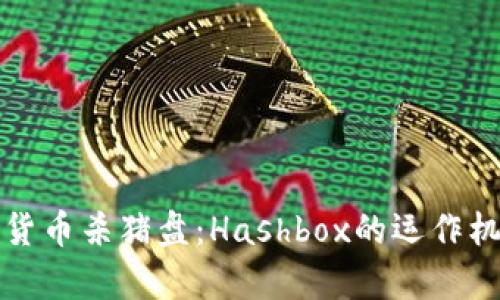 深入解析加密货币杀猪盘：Hashbox的运作机制与防范策略