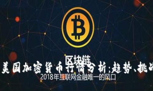2023年美国加密货币行情分析：趋势、挑战与机遇