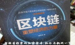 阿联酋投资的加密货币：