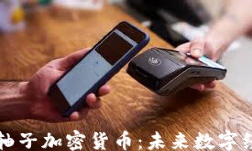 
jiaotong
    深入剖析轴子加密货币：未来数字经济的关键玩家