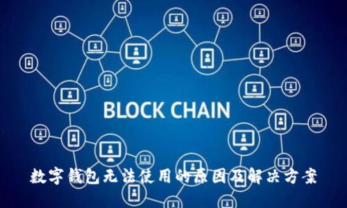 数字钱包无法使用的原因及解决方案