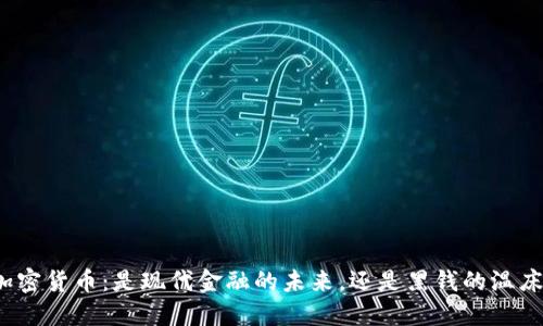 加密货币：是现代金融的未来，还是黑钱的温床？