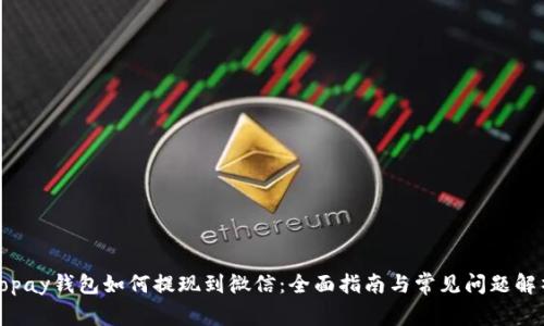 Topay钱包如何提现到微信：全面指南与常见问题解析