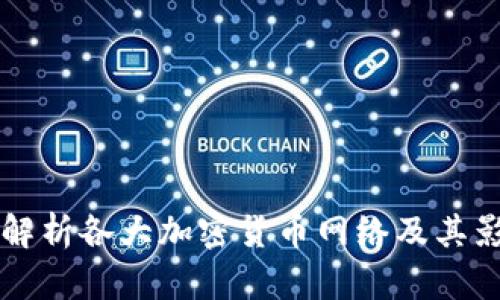 全面解析各大加密货币网络及其影响力
