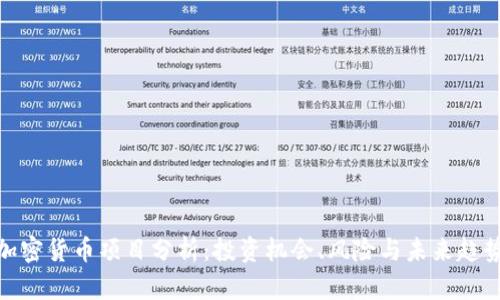 加密货币项目分析：投资机会、风险与未来趋势