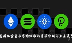 美国加密货币市场跳水的