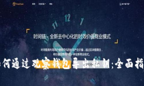 如何通过观察钱包导出私钥：全面指南