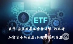 关于“应该发展加密货币吗”的思考加密货币的