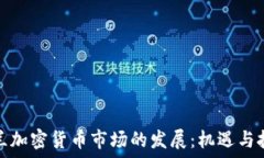   荷兰加密货币市场的发展：机遇与挑战