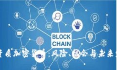 无资质加密货币：风险、机会与未来发展